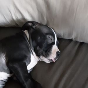 Meet your Posher, Shawn